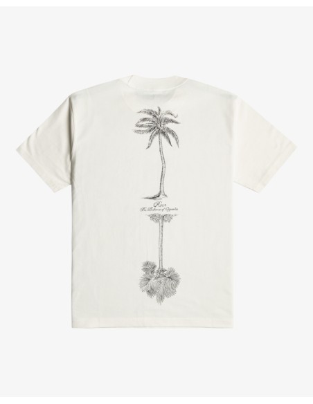 Men's Rvca Tiger Style T-Shirt