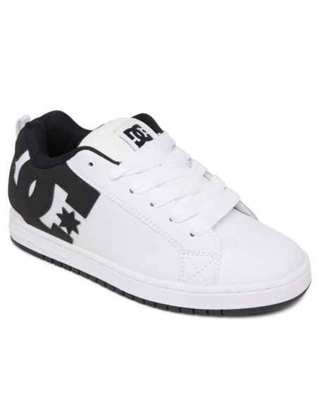 Men's Dc Court Graffik Shoes