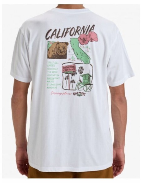 Men's Billabong Dreamy Place T-Shirt