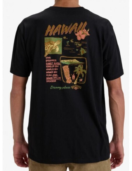 Men's Billabong Dreamy Place T-Shirt