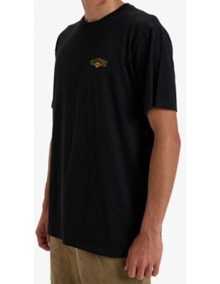 Men's Billabong Dreamy Place T-Shirt
