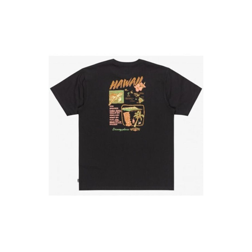 Men's Billabong Dreamy Place T-Shirt