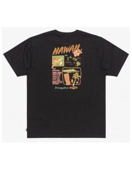 Men's Billabong Dreamy Place T-Shirt