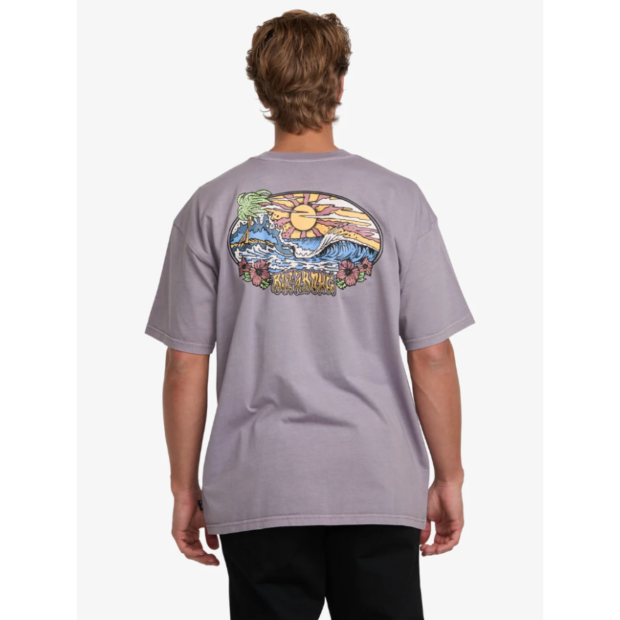 Men's Billabong Hi Tide Og Ww T-Shirt