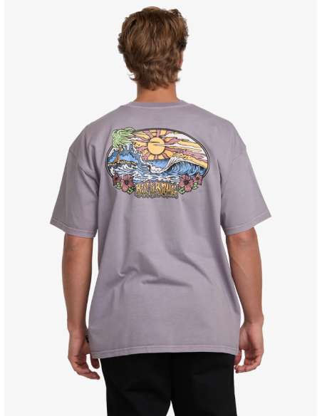 Men's Billabong Hi Tide Og Ww T-Shirt