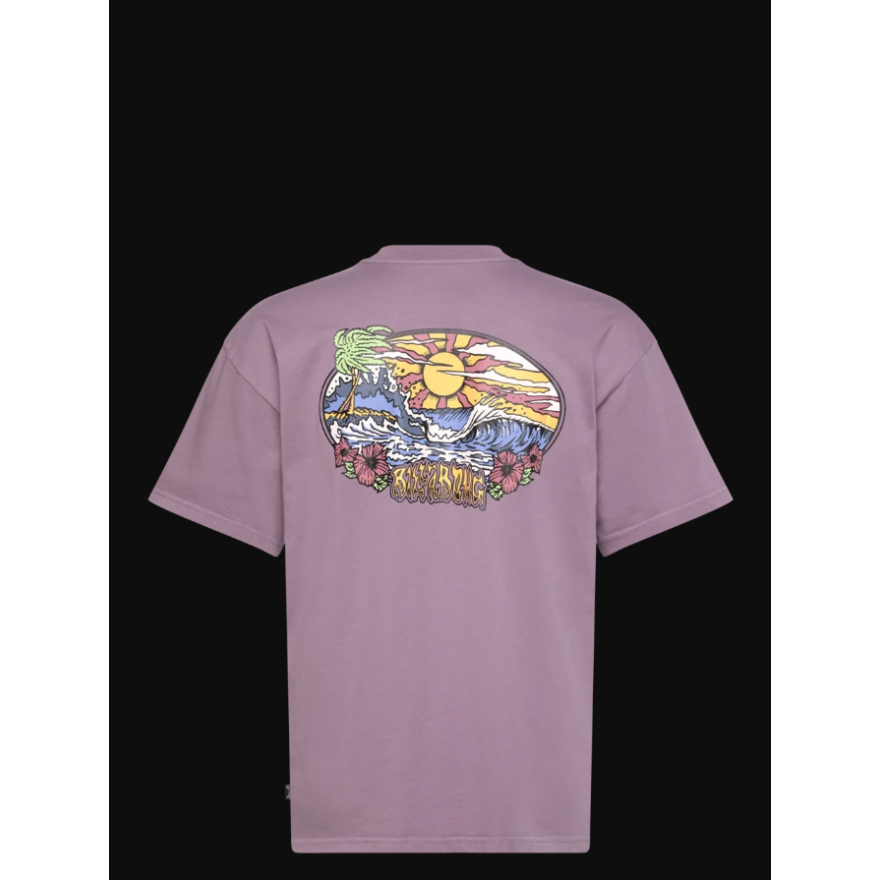 Men's Billabong Hi Tide Og Ww T-Shirt
