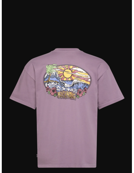 Men's Billabong Hi Tide Og Ww T-Shirt