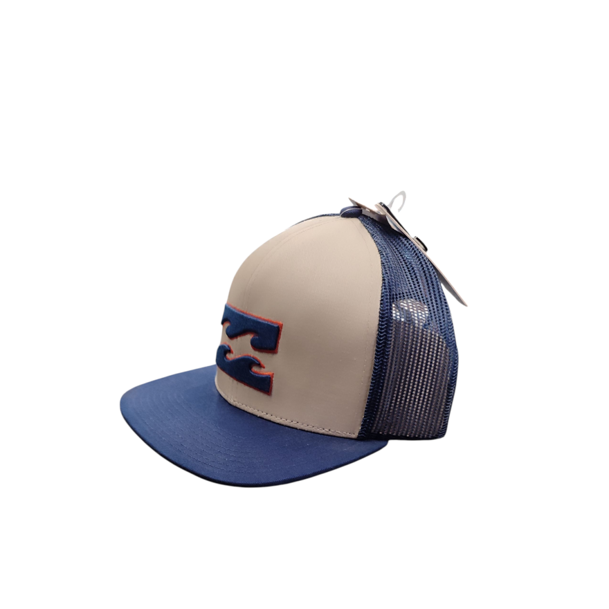 Men's Billabong All Day Trucker