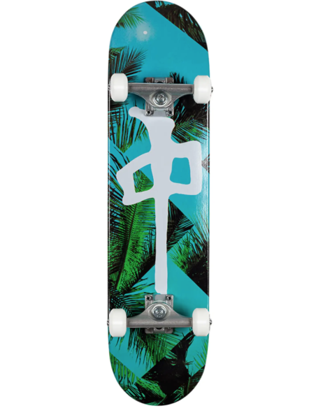 Red Dragon Palm Beach Complete