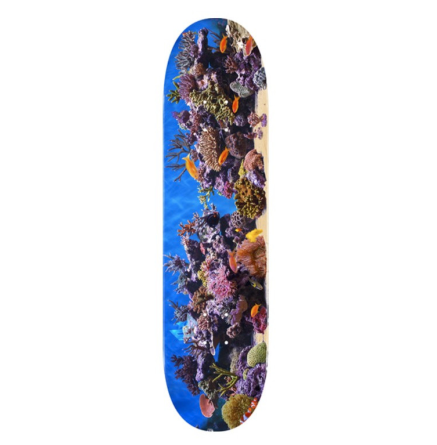 Skate One Mini Logo Fin Fur & Feathers Fish Tank