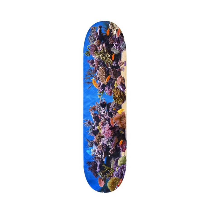 Skate One Mini Logo Fin Fur & Feathers Fish Tank