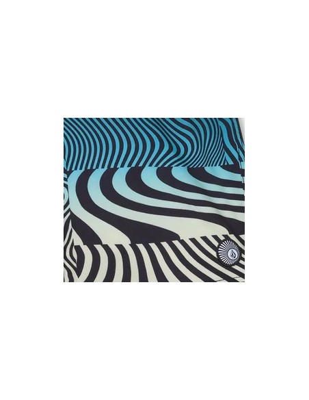 Kid's Volcom Lido Print Trunk