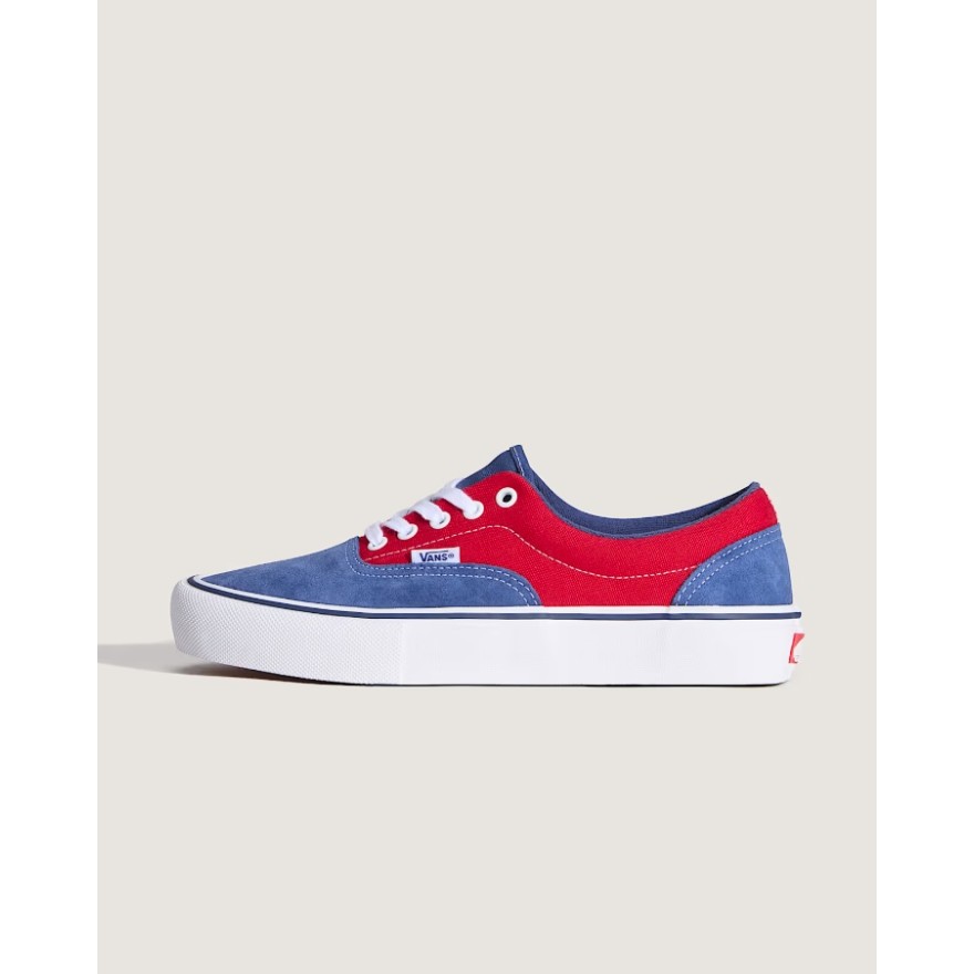 Vans Skate Era Shoes