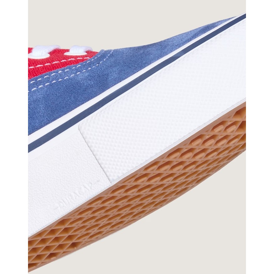 Vans Skate Era Shoes