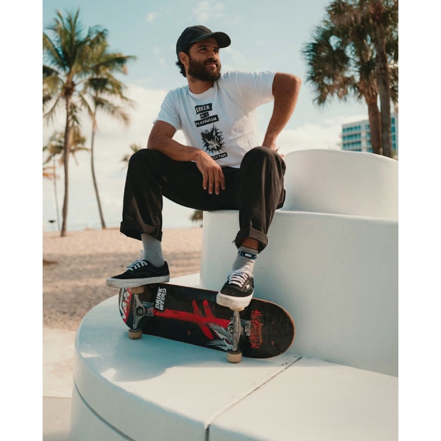 Vans Skate Era Shoes