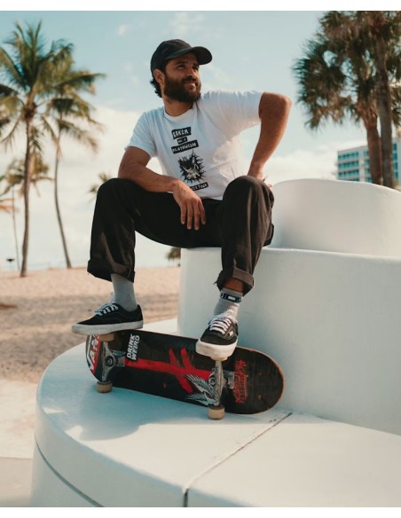 Vans Skate Era Shoes