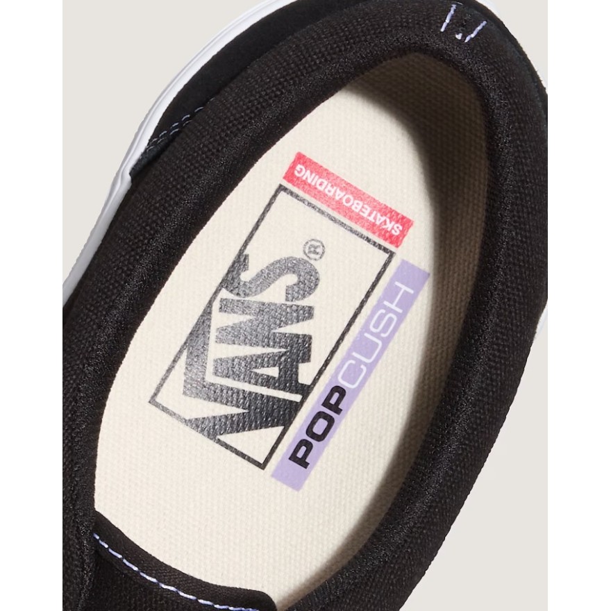 Vans Skate Era Shoes