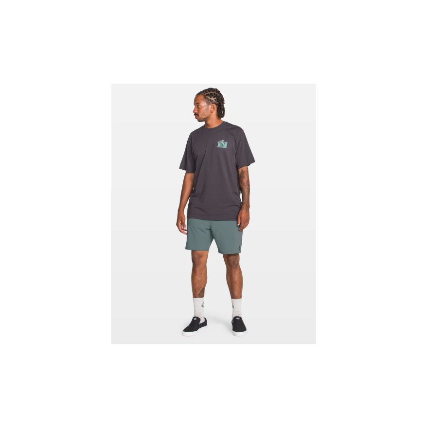 Men's Volcom Nomoly Ew Short 18
