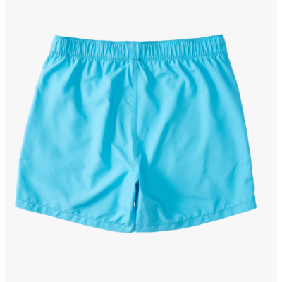 Men's Billabong All Day Layback