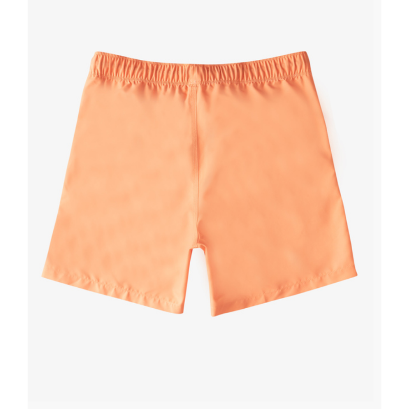 Men's Billabong All Day Layback