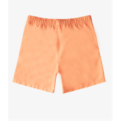 Men's Billabong All Day Layback