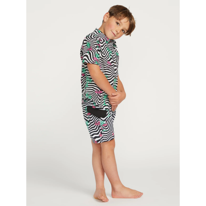 Kid's Volcom Flamingbros Shirt Ss Kid's Volcom Flamingbros Shirt Ss