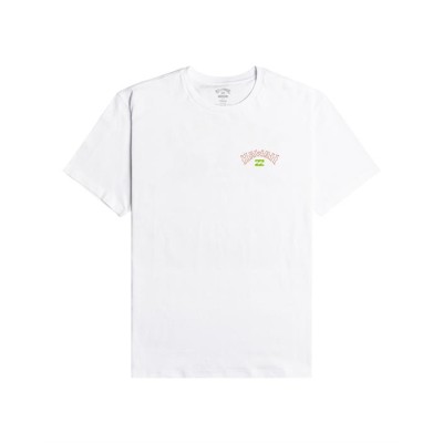 Men's Billabong Arch Dreamy Place T-Shirt